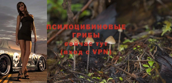 стаф Абаза