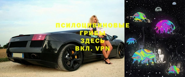 стаф Абаза