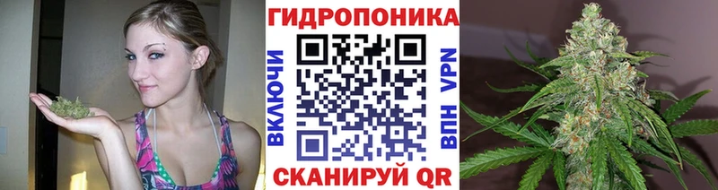 дарнет шоп  Альметьевск  Конопля White Widow 